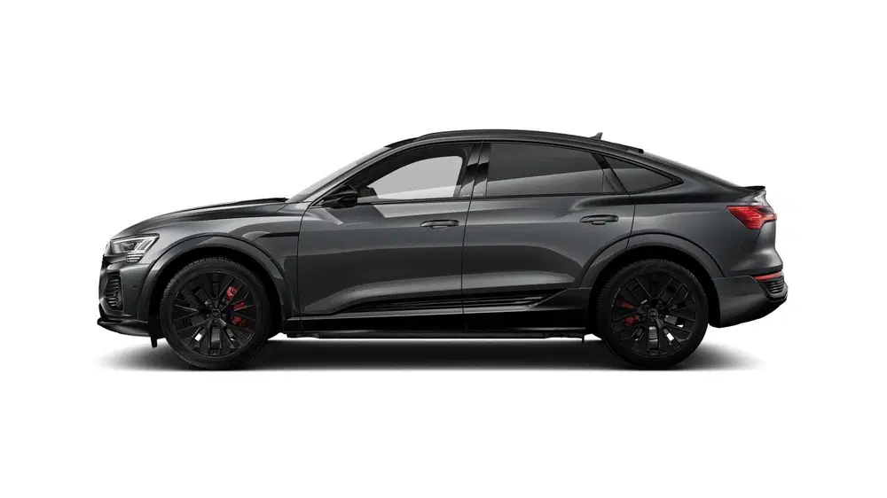 Audi Q8 55 quattro S Edition 115 kWh Panora uit 2024, foto 13