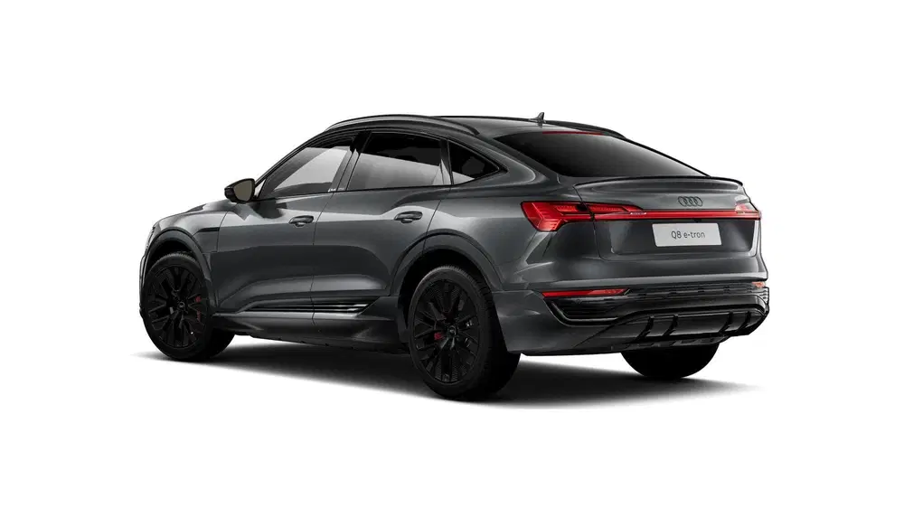 Audi Q8 55 quattro S Edition 115 kWh Panora uit 2024, foto 2