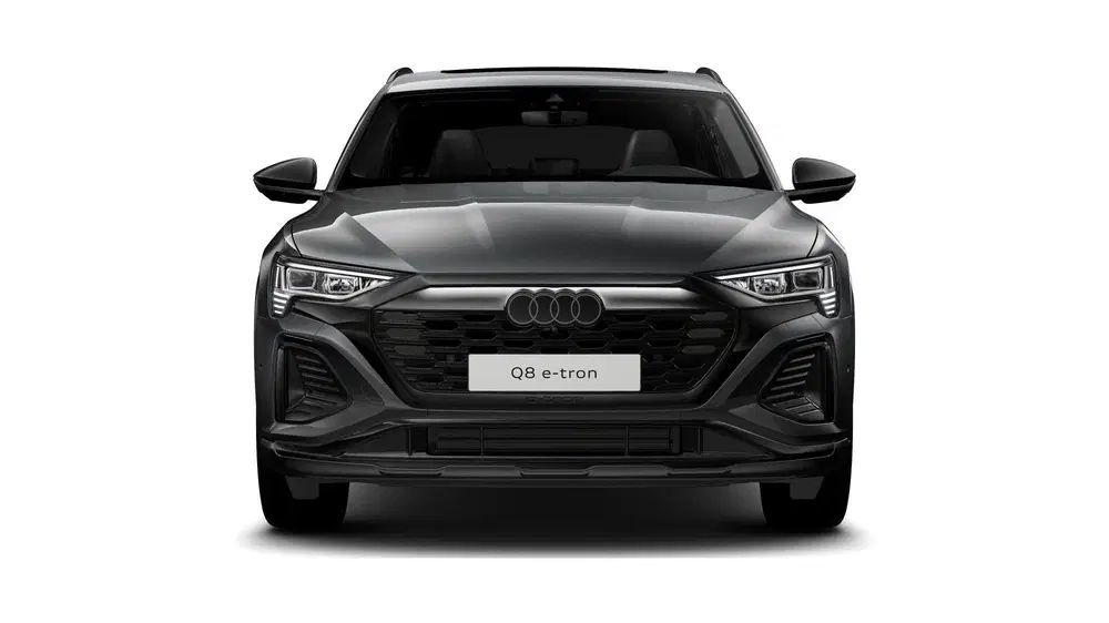 Audi Q8 55 quattro S Edition 115 kWh Panora uit 2024, foto 8