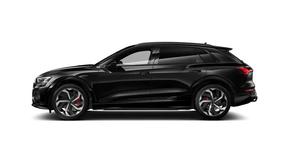 Audi Q8 e-tron 55 quattro S Edition 115 kWh Trekhaak uit 2024, foto 14