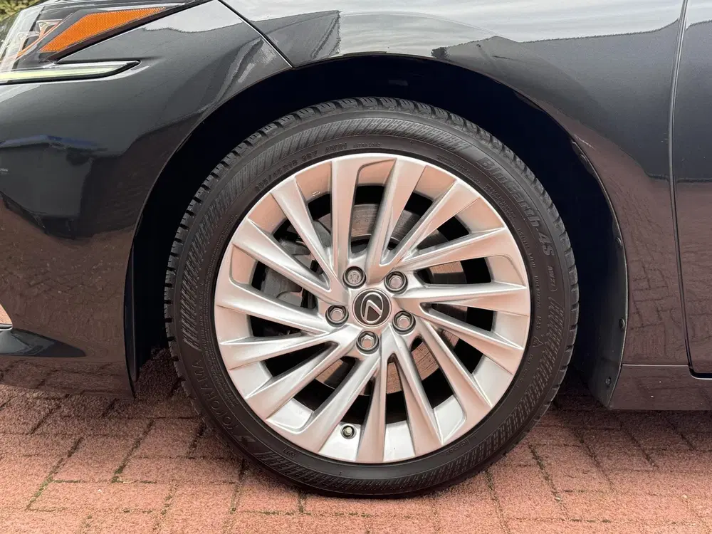 Lexus ES 300h President Full Option (Nw Beurt+HHC L uit 2019, foto 5