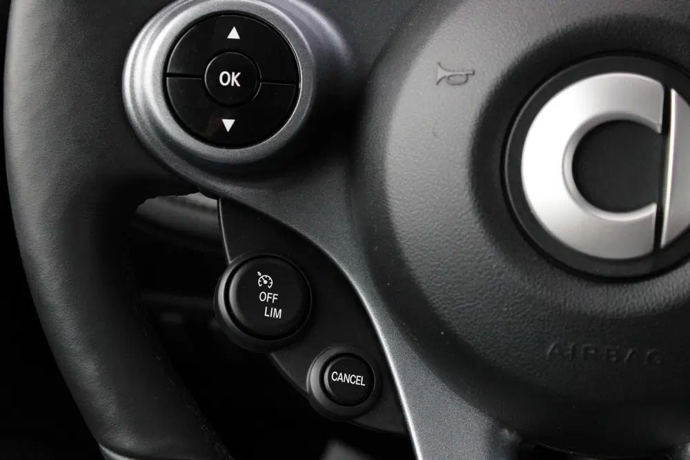 Smart forTwo EQ BRABUS Mattrunner 91% SOH uit 2021, foto 10