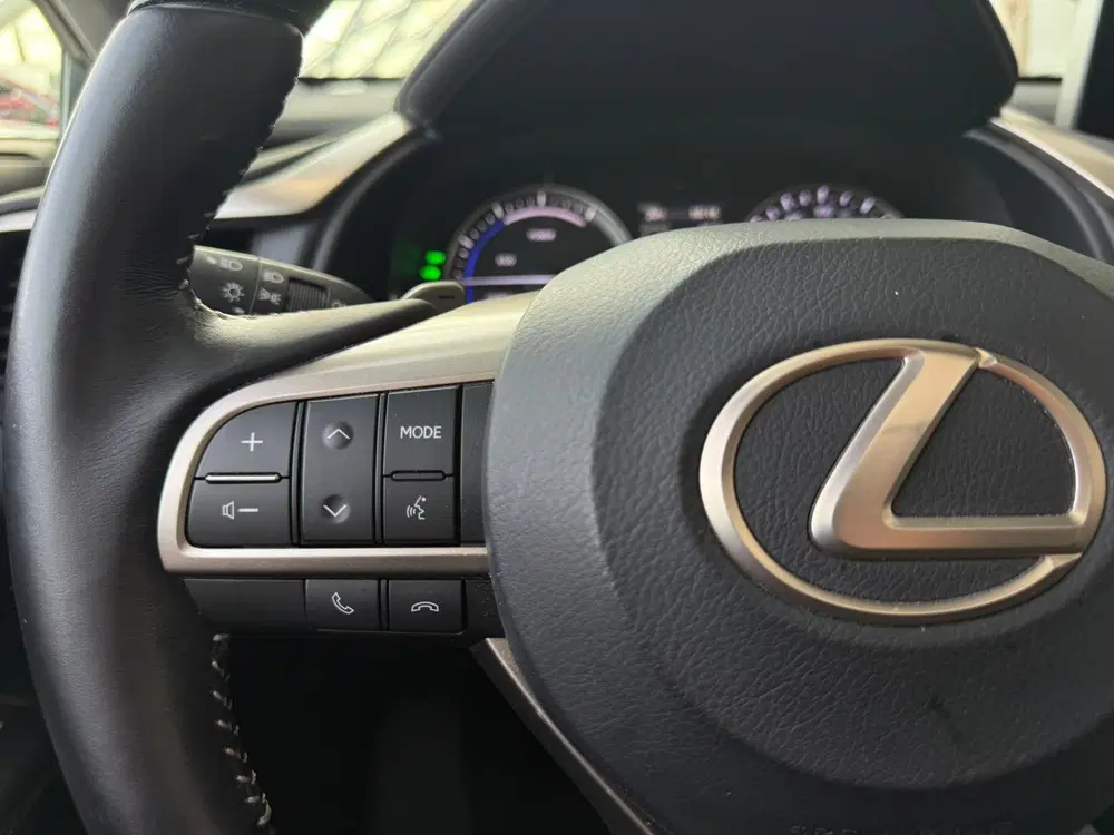 Lexus RX 450h 4WD President Line uit 2020, foto 10
