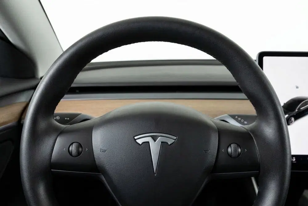Tesla Model 3 Long Range AWD 75kWh 89% SOH l Pano uit 2019, foto 14