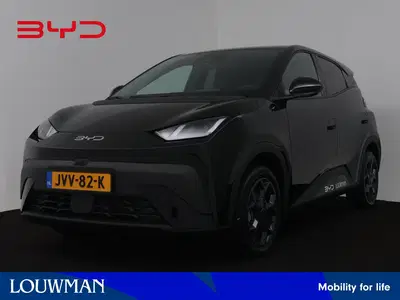 BYD Dolphin Surf Comfort 43 kWh uit 2026