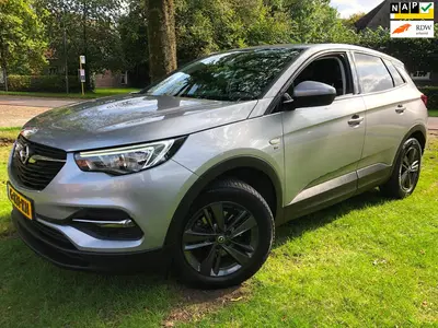 Opel Grandland 1.2 Turbo 120 Jaar Ed. Nwe Distr uit 2019