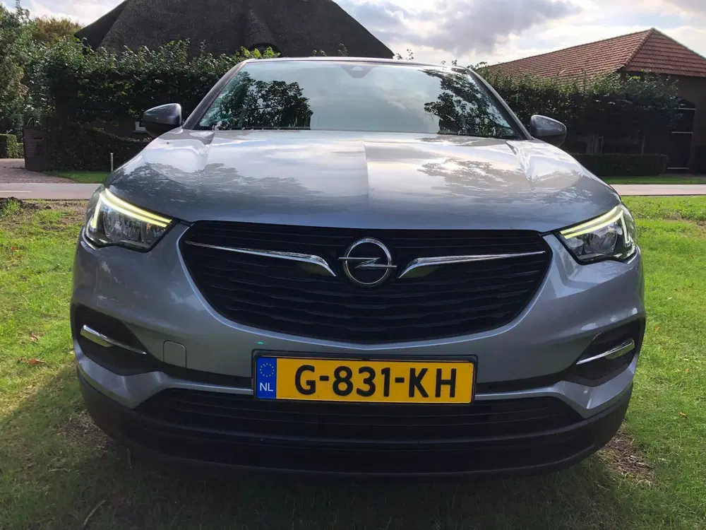 Opel Grandland 1.2 Turbo 120 Jaar Ed. Nwe Distr uit 2019, foto 2