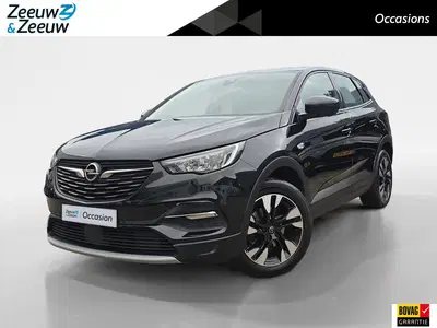 Opel Grandland 1.2 Turbo Business Executive uit 2021