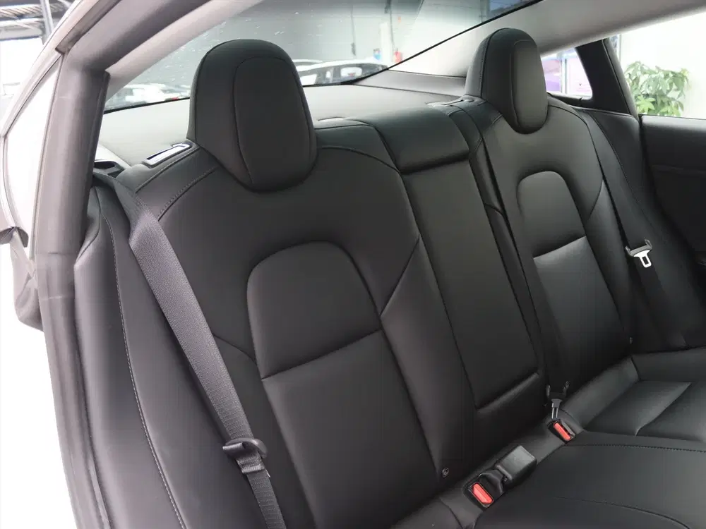 Tesla Model 3 Standard RWD Plus FACELIFT 94 uit 2022, foto 15