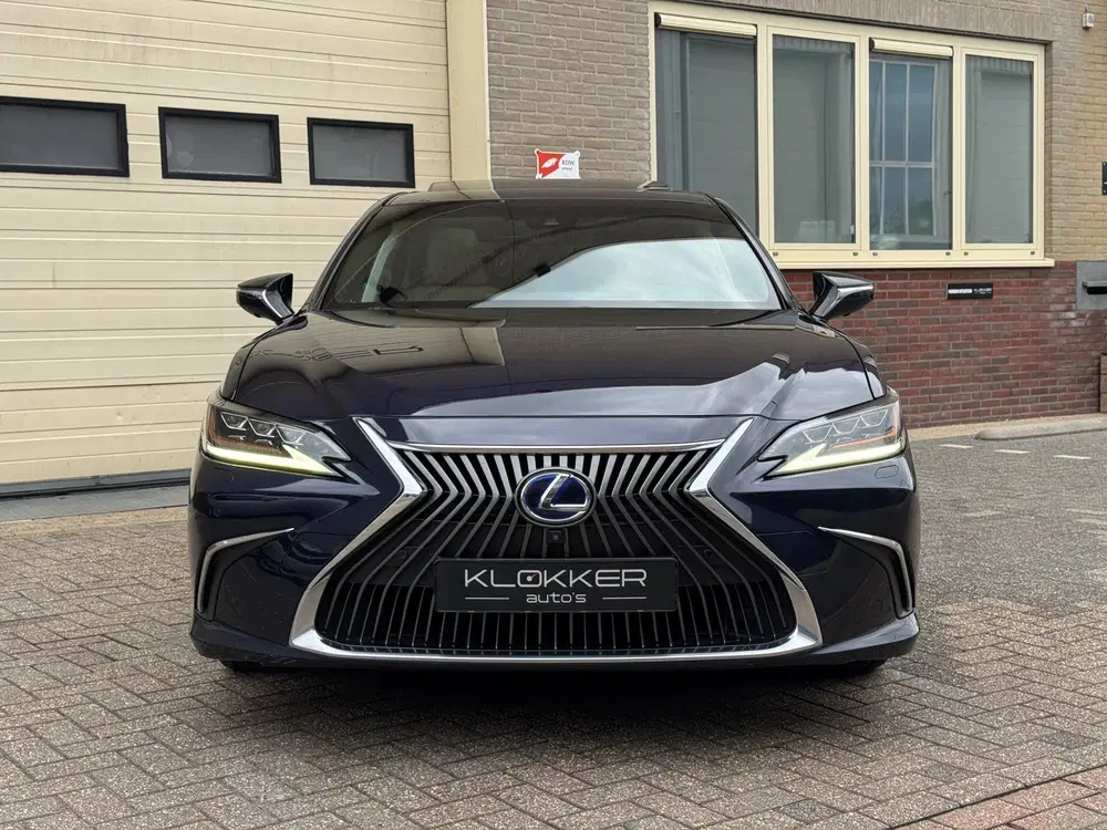 Lexus ES 300h President Line Dealer ondh. uit 2019, foto 6