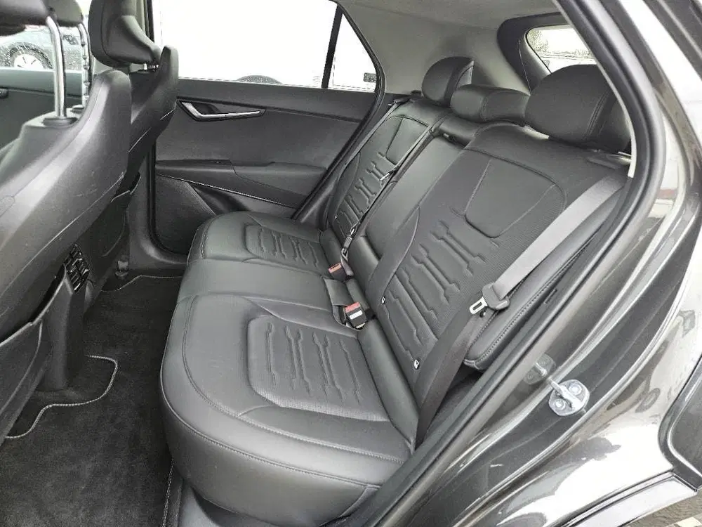 Kia Niro DynamicPlusLine uit 2024, foto 15