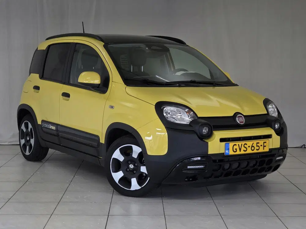 Fiat Panda 1.0 Hybrid Pandina uit 2024, foto 3