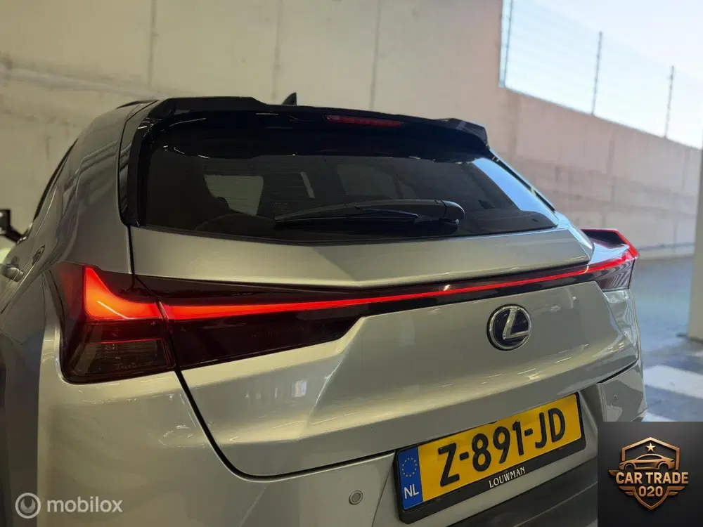 Lexus UX 250h F Sport LEDER uit 2023, foto 10