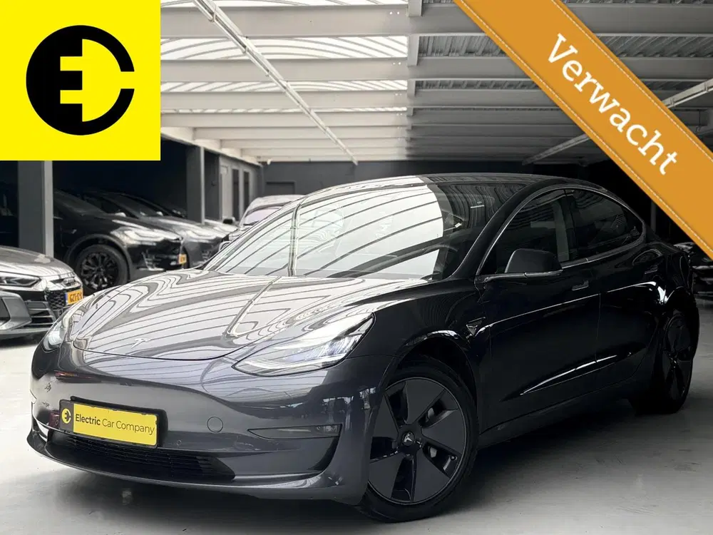 Tesla Model 3 Long Range AWD 75 kWh uit 2019