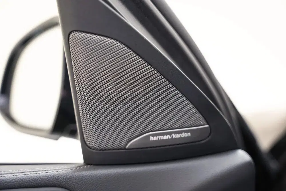 BMW X6 M50i High Executive [ Pano ACC Laserlicht uit 2020, foto 9