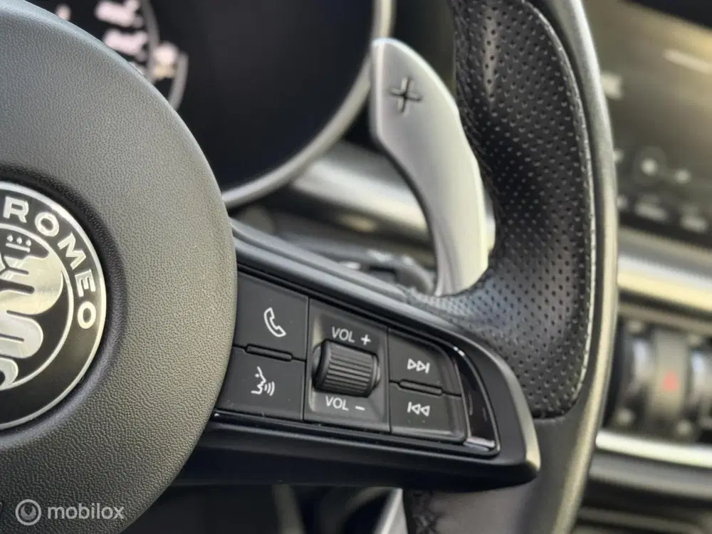 Alfa Romeo Stelvio 2.0 T AWD Veloce Pano Keyless H uit 2021, foto 15