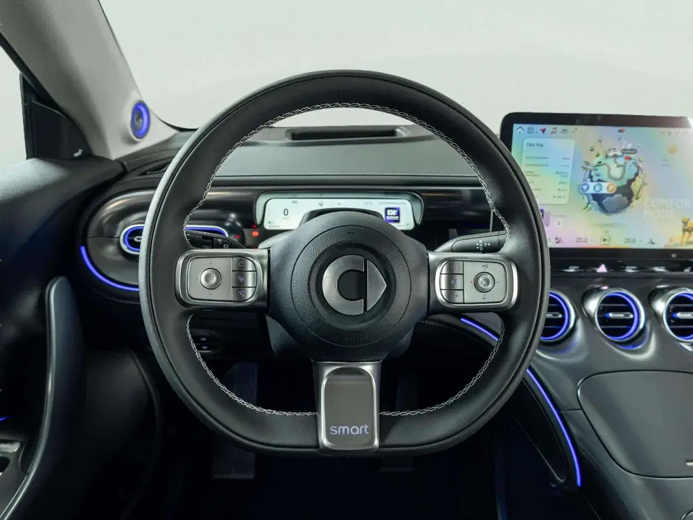 Smart #3 Premium 66 kWh uit 2026, foto 13