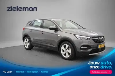 Opel Grandland 1.6T Hybrid PHEV Elegance uit 2021