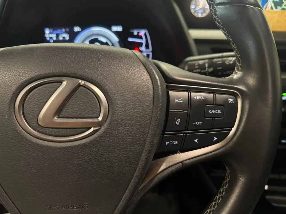 Lexus UX 250h Luxury Line uit 2020, foto 11