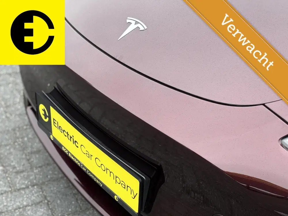 Tesla Model Y Performance AWD 75 kWh uit 2023, foto 2