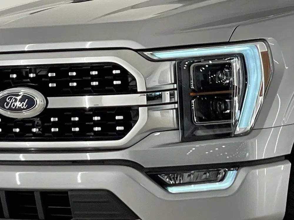 Ford F 150 USA F-150 3.5 V6 Ecoboost PLATINUM NIEUWE uit 2022, foto 2