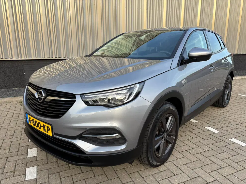 Opel Grandland 1.2 Turbo 130pk 120Jaar Edition uit 2019