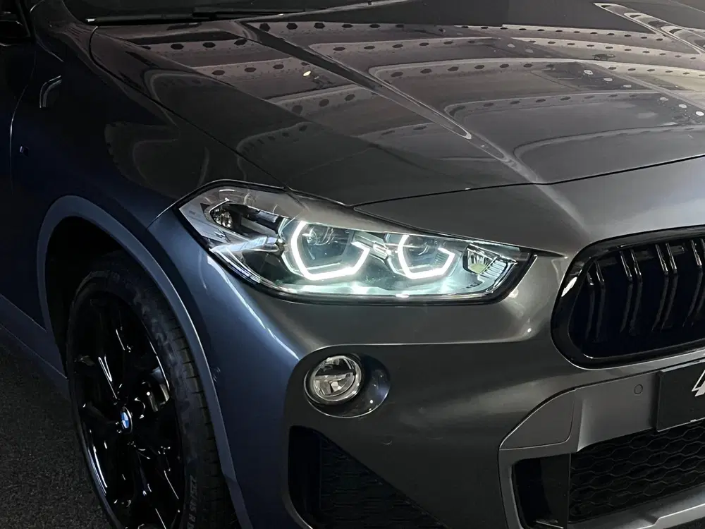 BMW X2 SDrive20i High Executive M Edition Pano uit 2019, foto 13