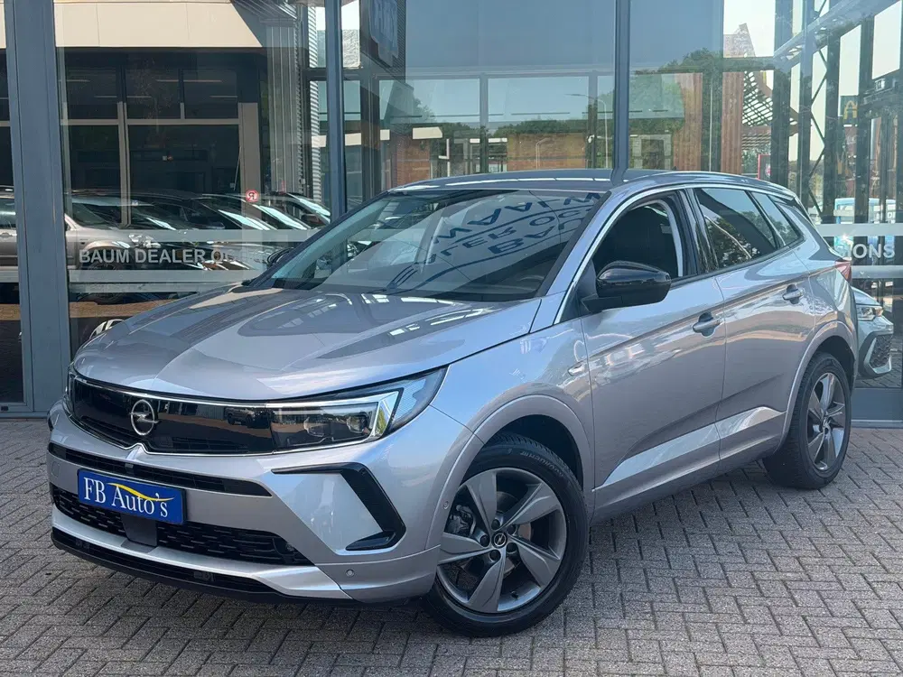 Opel Grandland 1.2 Turbo Elegance business Airco Lmv Came uit 2024