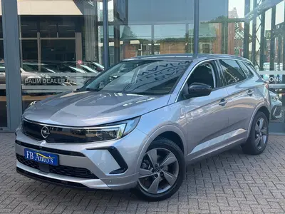 Opel Grandland 1.2 Turbo Elegance business Airco Lmv Came uit 2024
