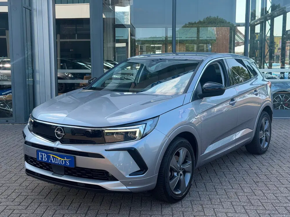 Opel Grandland 1.2 Turbo Elegance business Airco Lmv Came uit 2024, foto 3