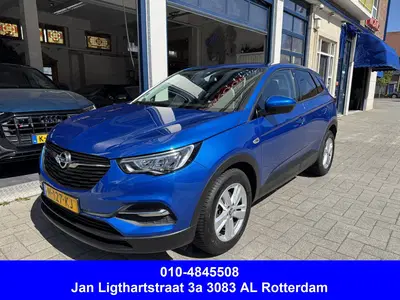 Opel Grandland 1.2 Turbo Business Edition CARPLAY uit 2020