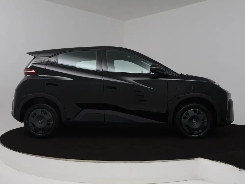 BYD Dolphin Surf Active 30 kWh uit 2026, foto 14