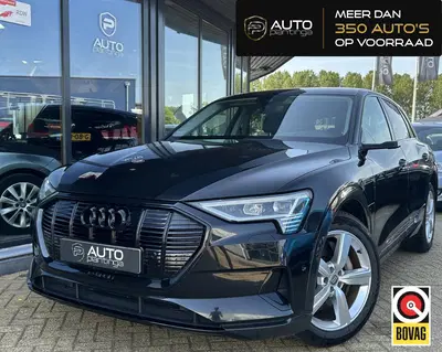Audi e-tron e-tron 55 quattro 95 kWh 408PK uit 2019