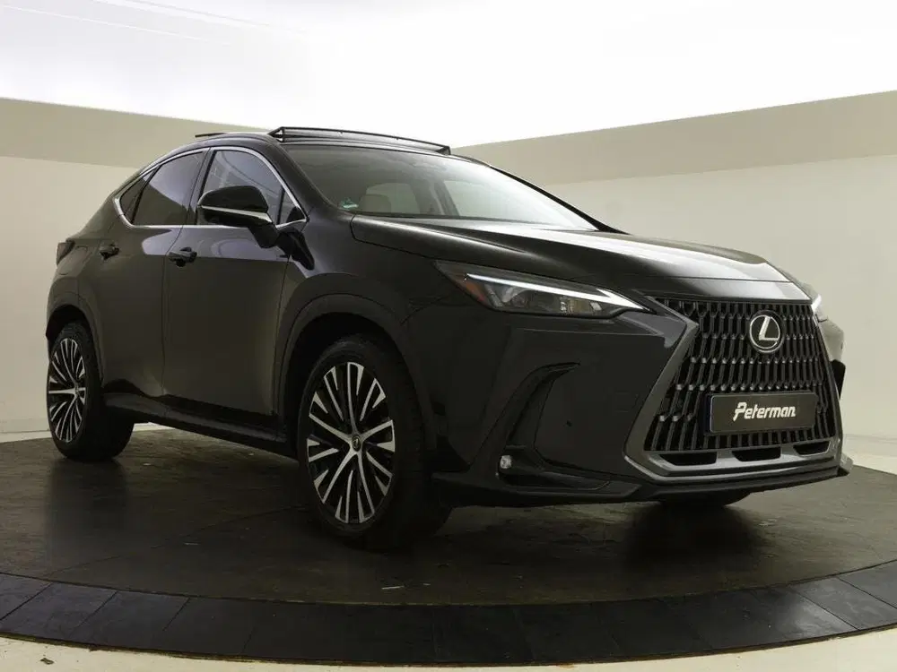 Lexus NX 450h+ Plug-In Hybrid AWD Executive Line uit 2024, foto 6