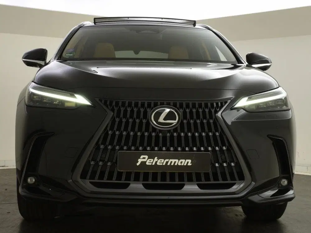 Lexus NX 350h AWD Executive Line uit 2022, foto 13