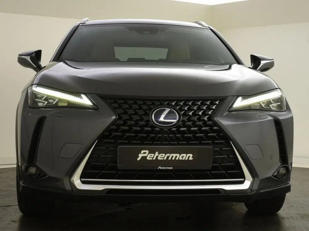Lexus UX 250h First Edition uit 2020, foto 8
