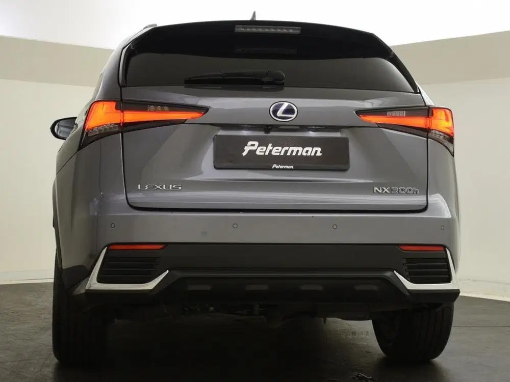 Lexus NX 300h AWD Executive Line uit 2020, foto 8
