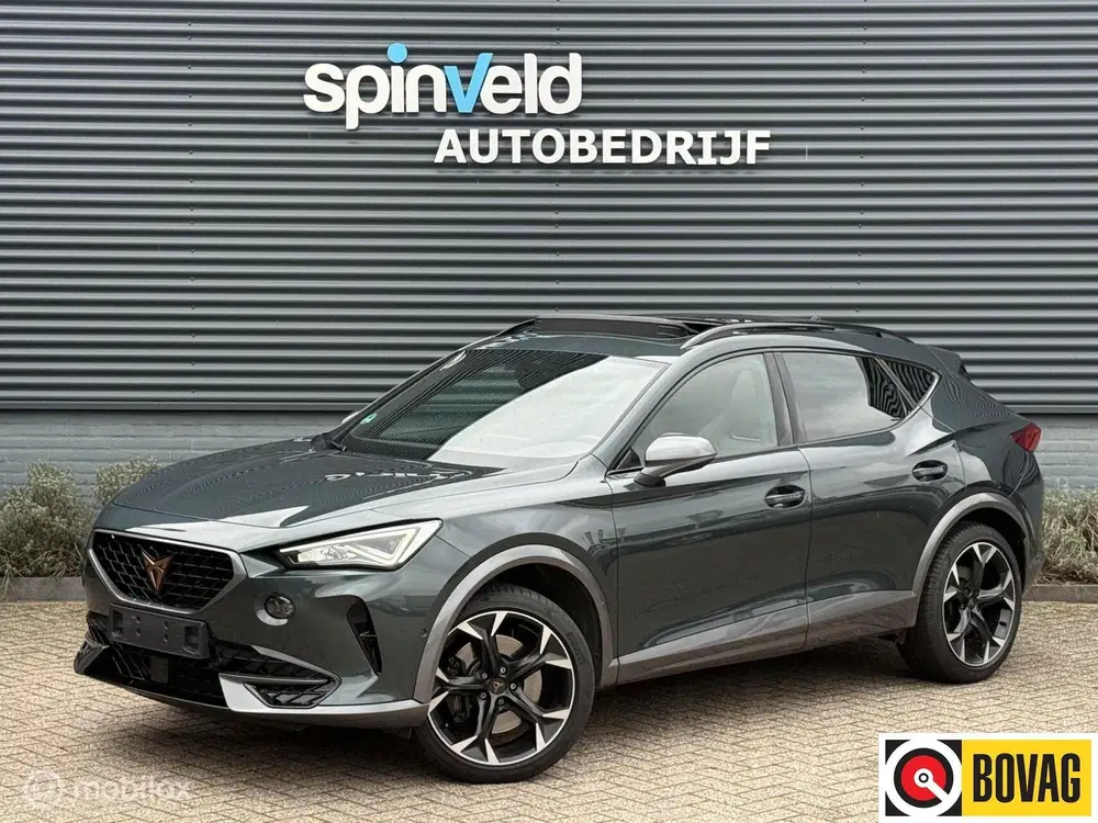 Cupra Formentor 2.0 TSI 4DRIVE uit 2022