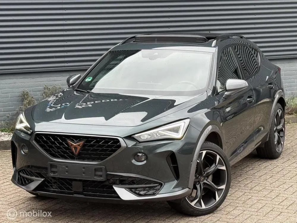 Cupra Formentor 2.0 TSI 4DRIVE uit 2022, foto 3
