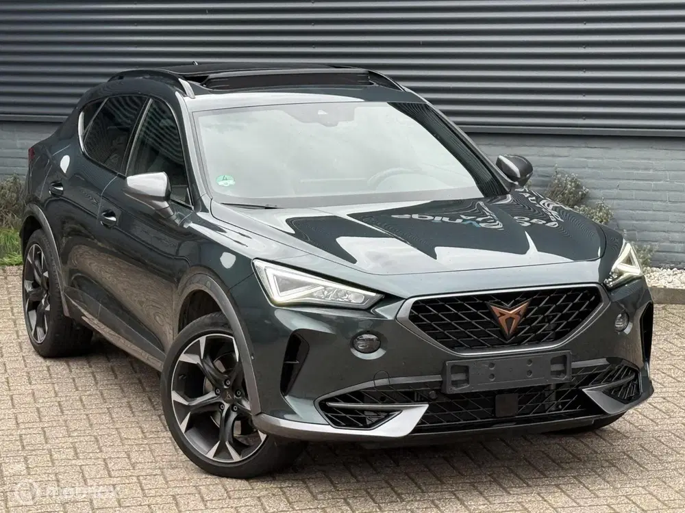 Cupra Formentor 2.0 TSI 4DRIVE uit 2022, foto 6