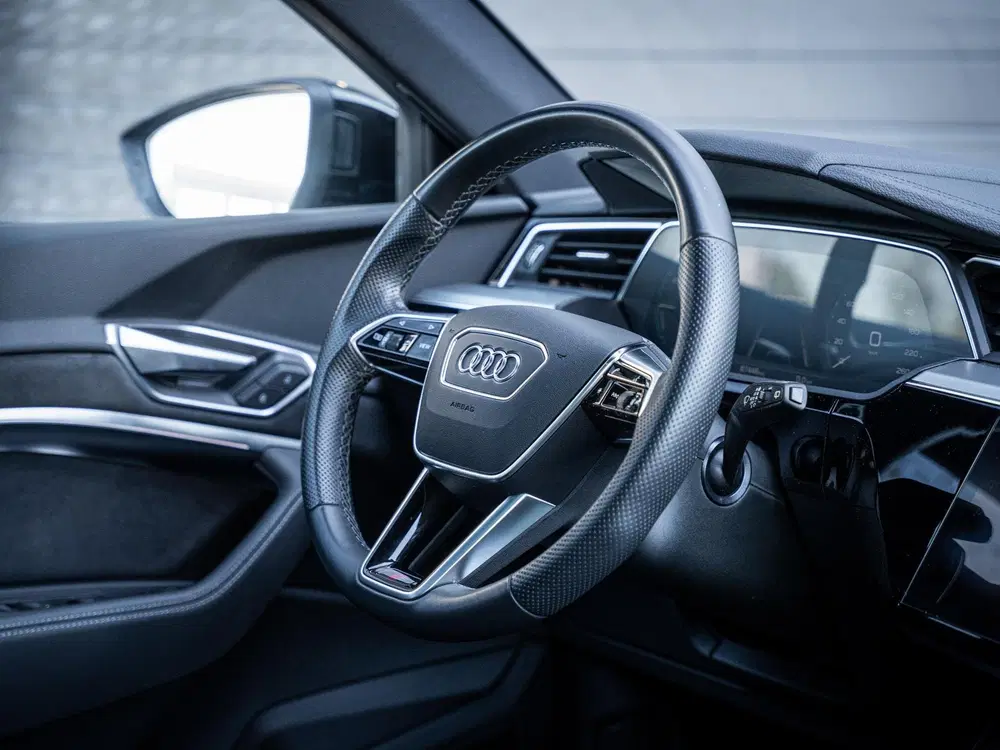 Audi e-tron 55 quattro S edition 95 kWh 3x S-Line l Pa uit 2022, foto 15