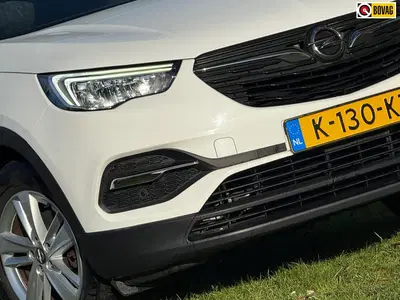 Opel Grandland 1.2 Turbo Business Edition uit 2021