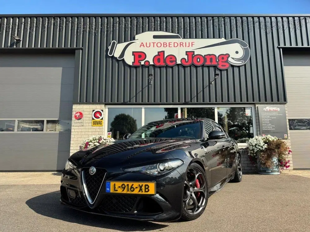 Alfa Romeo Giulia 2.9 V6 QUADRIFOGLIO Carbon pakket Sparco k uit 2019, foto 10