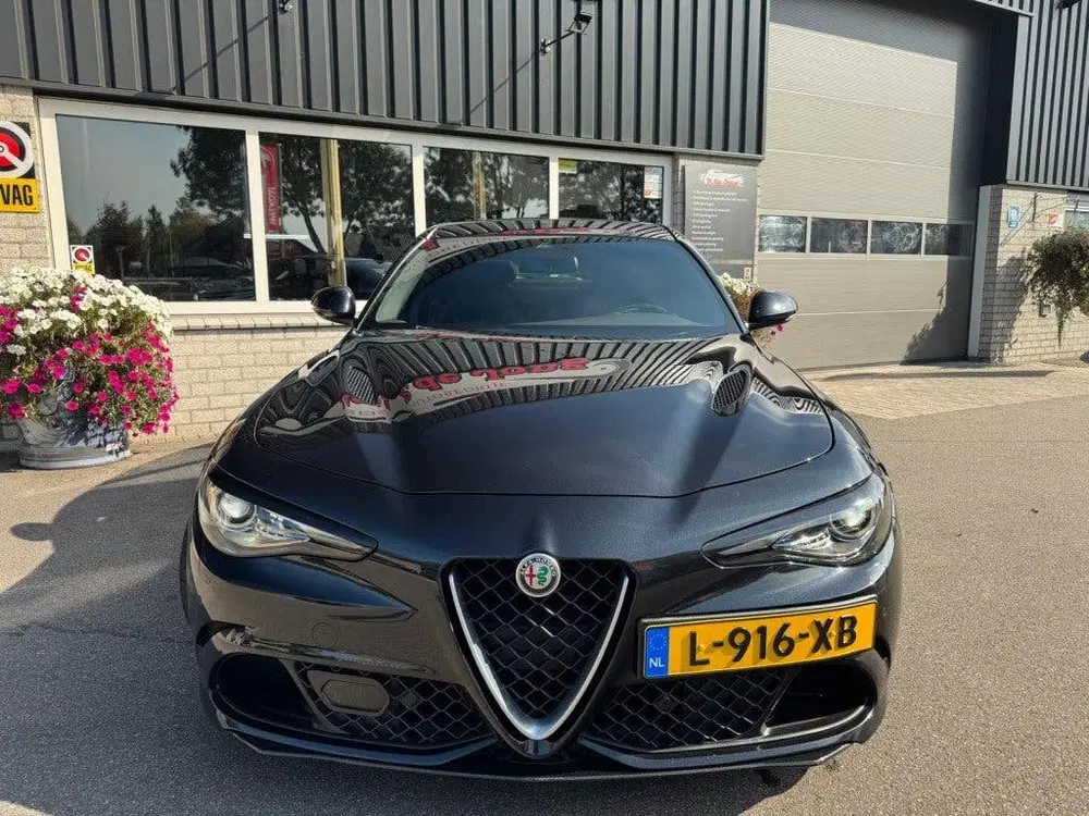 Alfa Romeo Giulia 2.9 V6 QUADRIFOGLIO Carbon pakket Sparco k uit 2019, foto 11