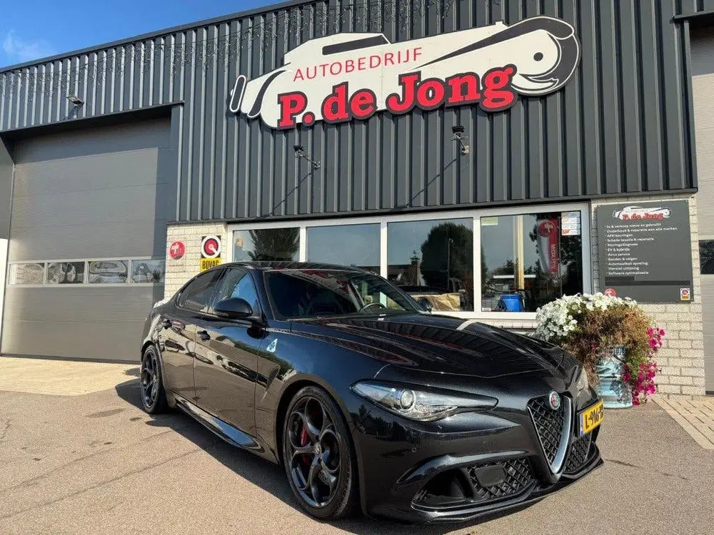 Alfa Romeo Giulia 2.9 V6 QUADRIFOGLIO Carbon pakket Sparco k uit 2019, foto 12