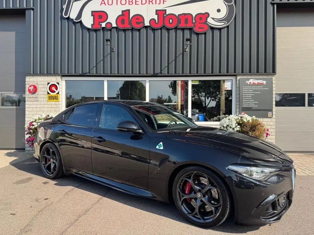 Alfa Romeo Giulia 2.9 V6 QUADRIFOGLIO Carbon pakket Sparco k uit 2019, foto 15