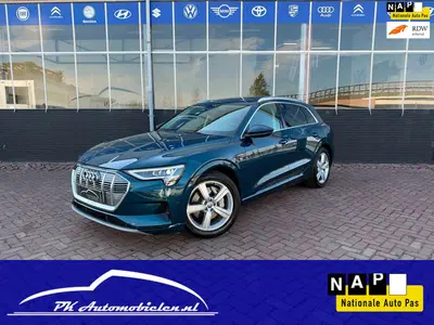 Audi e-tron E-tron 50 Quattro Launch Edition plus 71 k uit 2019