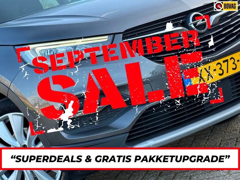 Opel Grandland 1.2 Turbo Business Executive uit 2019