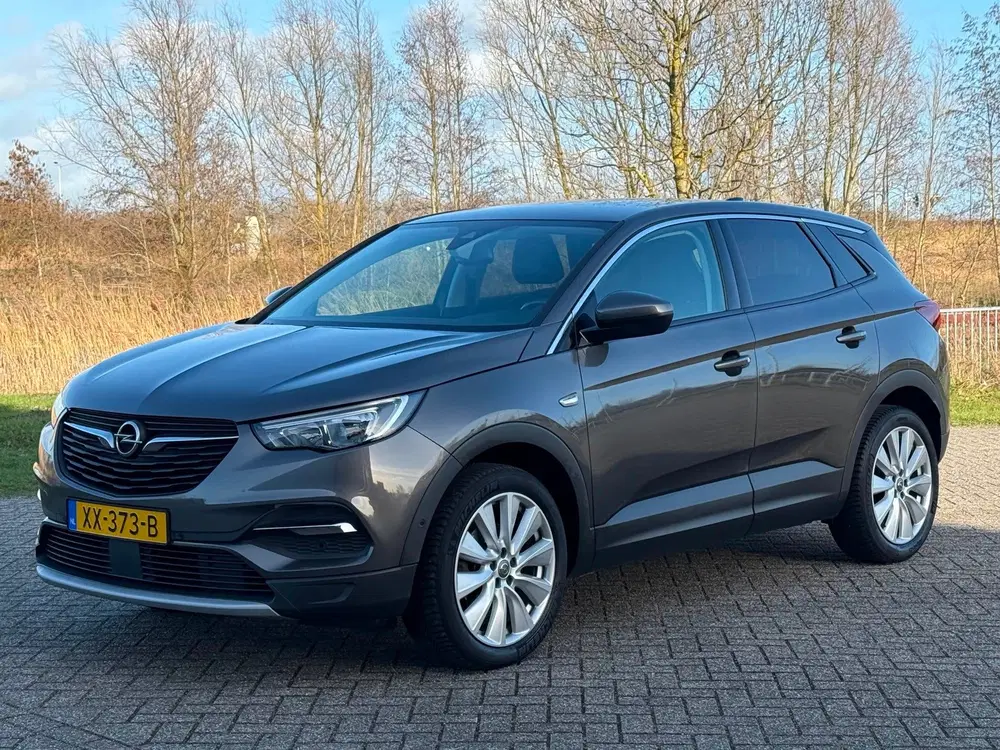Opel Grandland 1.2 Turbo Business Executive uit 2019, foto 2