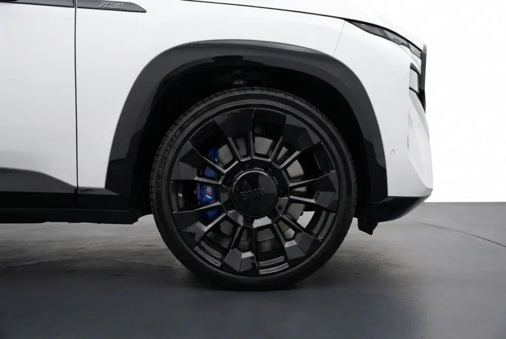 BMW XM PHEV 30 kWh M Sport V8 Carbon l Drive Assi uit 2024, foto 10